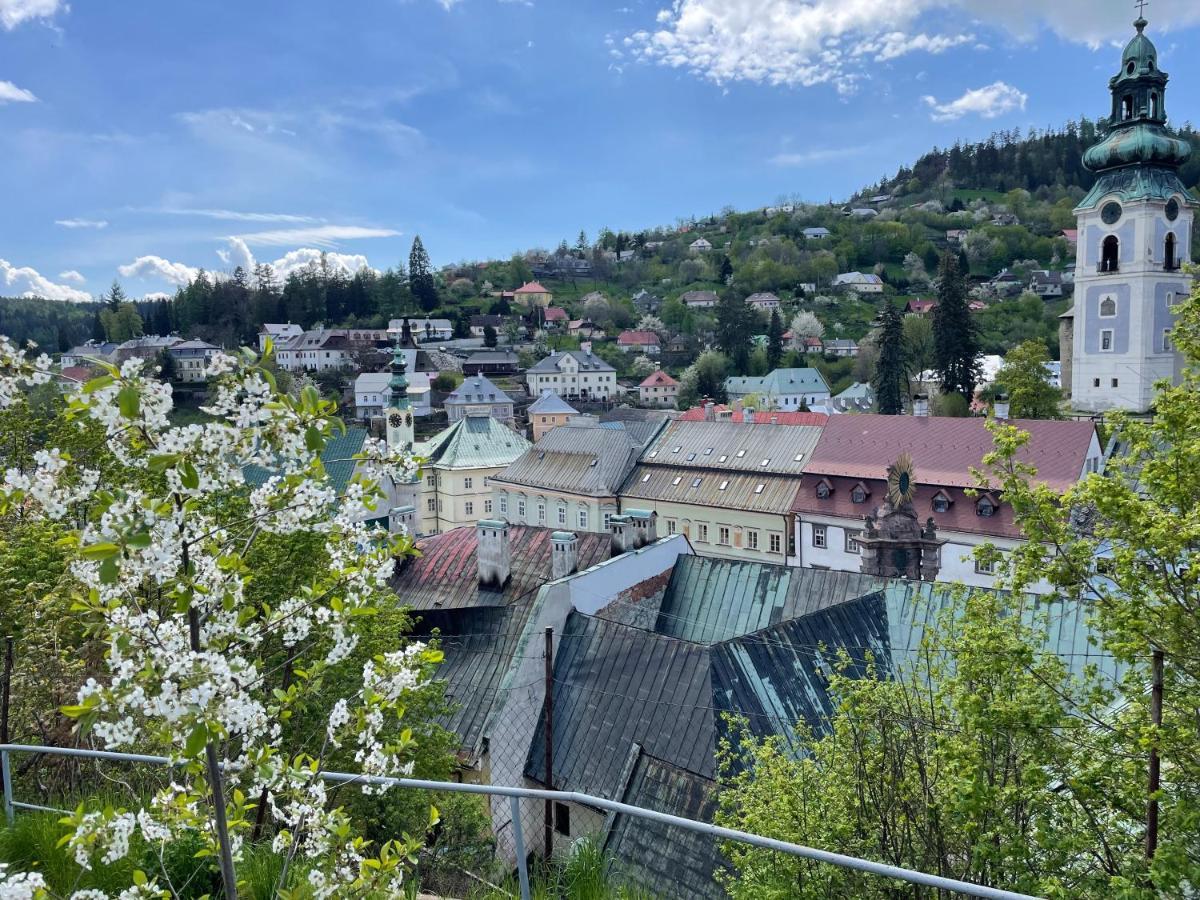 Cyprian Apartment Banská Štiavnica المظهر الخارجي الصورة